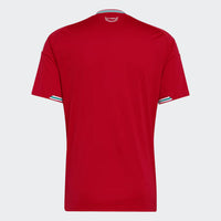 Camiseta Galés Home 26/27
