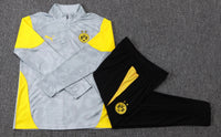 Chandal Borussia Dortmund 25/26