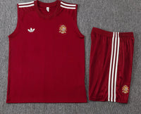 Camiseta y Pantalón corto de Entrenamiento España 26/27