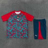 Camiseta y Pantalón entrenamiento Portugal 26/27