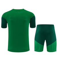 Camiseta y Pantalón corto Entrenamiento Argelia 26/27