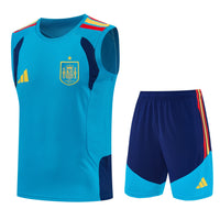 Camiseta y Pantalón corto de Entrenamiento España 26/27