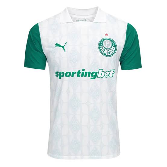 Camiseta Palmeiras Away 25/26