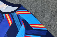 Camiseta y Pantalón corto de Entrenamiento España 26/27