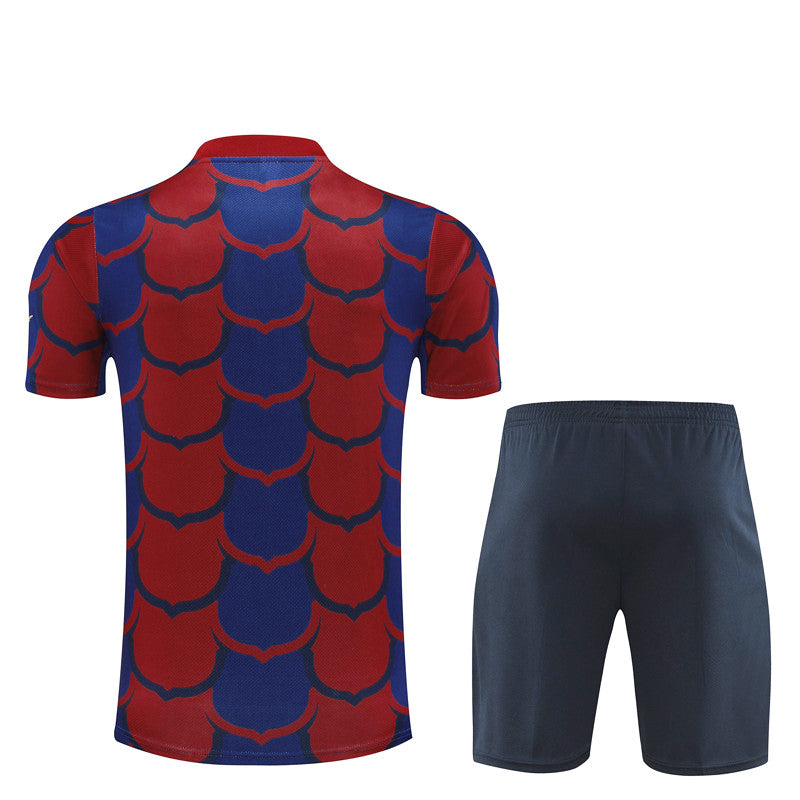 Camiseta y pantalón entrenamiento Barcelona 24/25