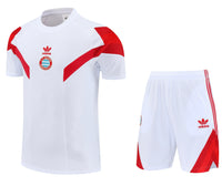 Camiseta y Pantalón entrenamiento Bayern 25/26