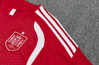 Camiseta y Pantalón corto de Entrenamiento España 26/27