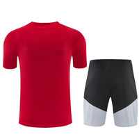 Camiseta y Pantalón corto de Entrenamiento España 26/27