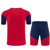 Camiseta y Pantalón corto de Entrenamiento España 26/27