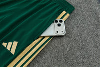Camiseta y Pantalón corto de Entrenamiento Italia Niño 26/27