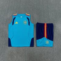 Camiseta y Pantalón corto de Entrenamiento España 26/27