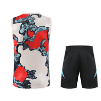 Camiseta y Pantalón entrenamiento Bayern 25/26