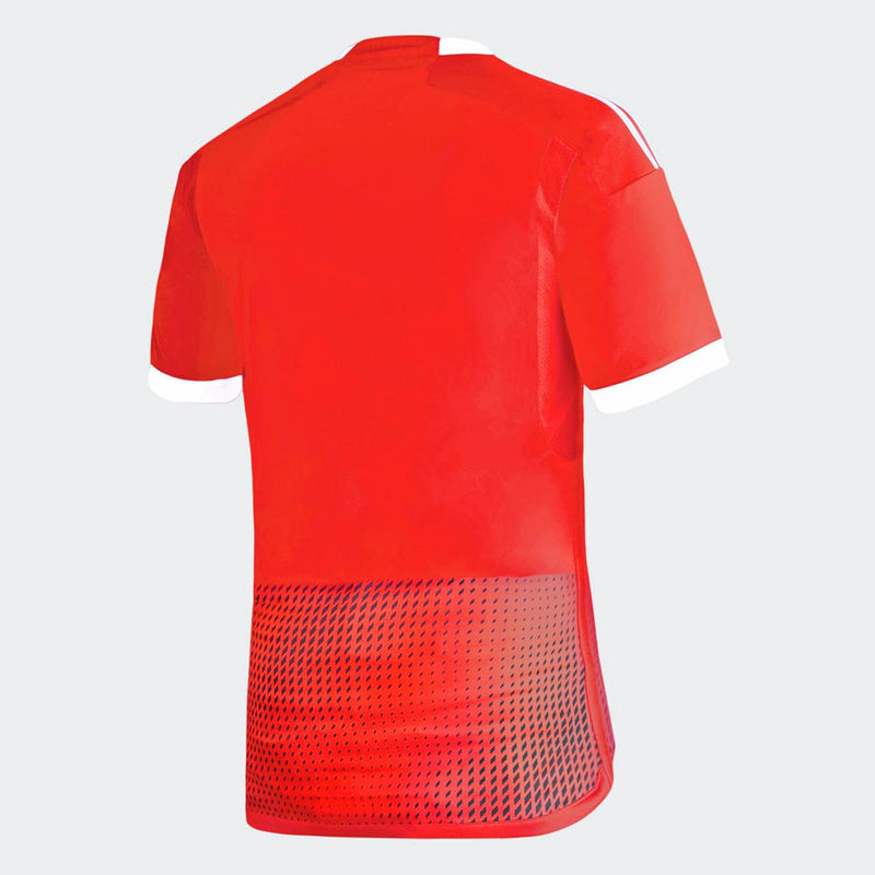 Camiseta Selección Perú Away 23/24