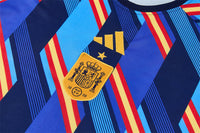 Camiseta y Pantalón corto de Entrenamiento España 26/27
