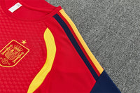 Camiseta y Pantalón corto de Entrenamiento España 26/27