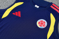 Camiseta y Pantalón corto Entrenamiento Colombia 26/27