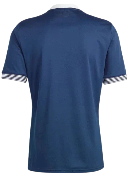 Camiseta Selección Escocia Edición 150 Años 23/24 Hombre Azul